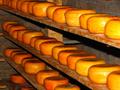 Некондиционная сырная продукция в Твери