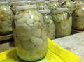 Продаю грибы в маринованном, солёном, сушёном виде
