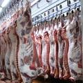 Производство и оптовые продажи мяса в ассортименте