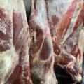Реализация оптом, мясо ЦБ, свинина, говядина, баранина